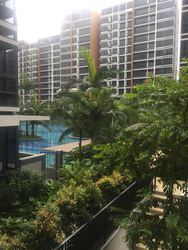 Coco Palms (D18), Condominium #167482542
